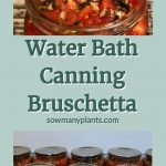 Water Bath Canning Bruschetta. Pinterest Pin showing eight jars of bruschetta sitting on a counter. Open mason jar with bruschetta with tomatoes and garlic and spices. www.sowmanyplants.com