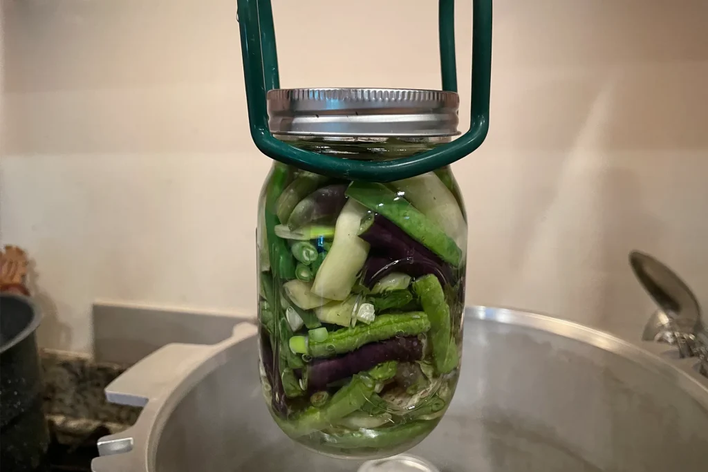 Pint Jar of Green Beans being lowered into a pressure canner for canning.