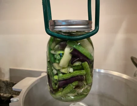 Pint Jar of Green Beans being lowered into a pressure canner for canning.