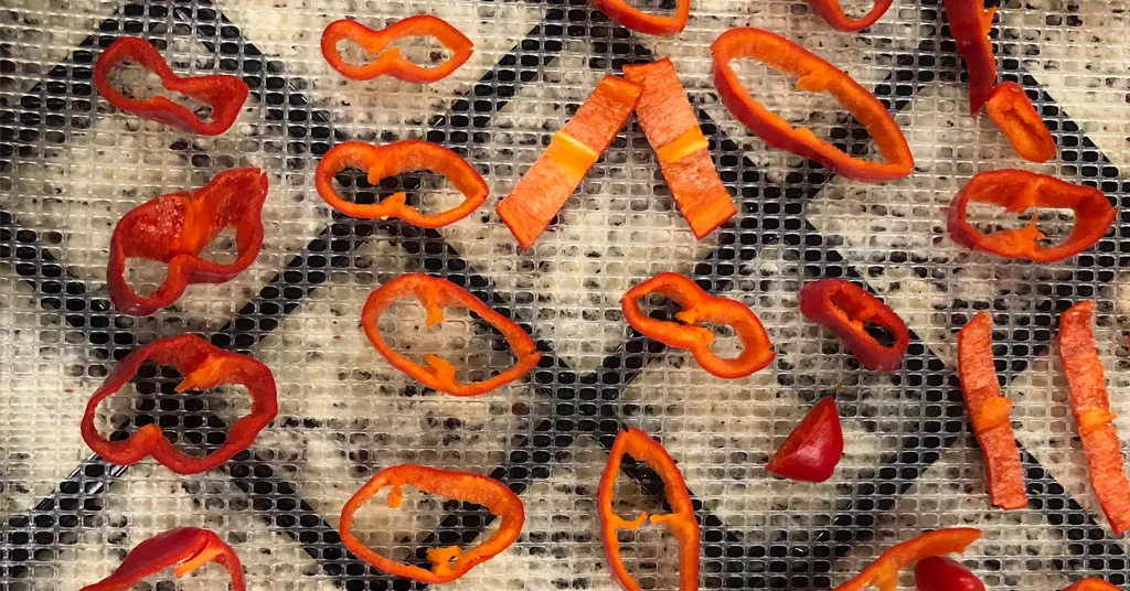 Slices of peppers sitting on a dehydrator tray