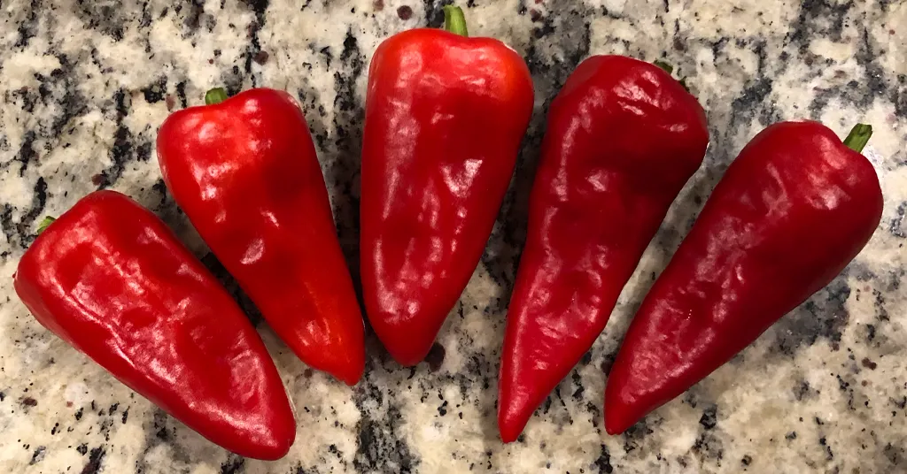 Five red Leutschauer Paprika Peppers sitting on a counter