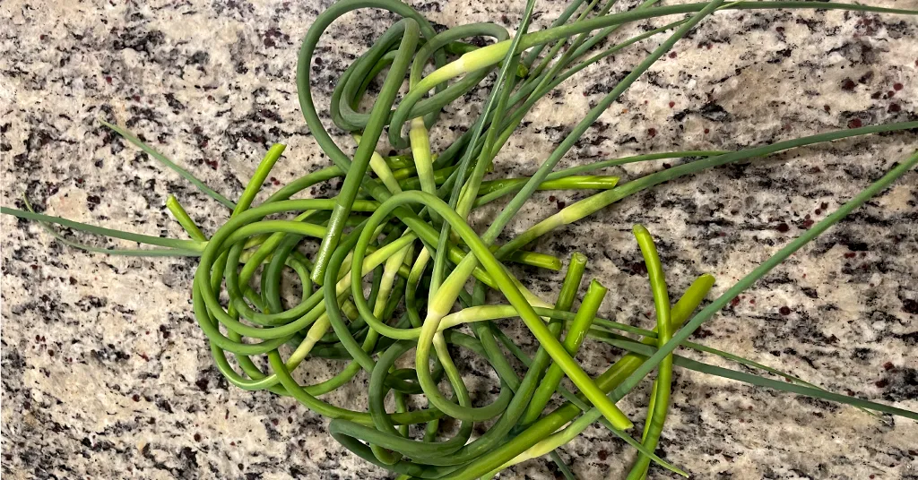 A bunch of curly garlic scapes sitting on a marble counter top.