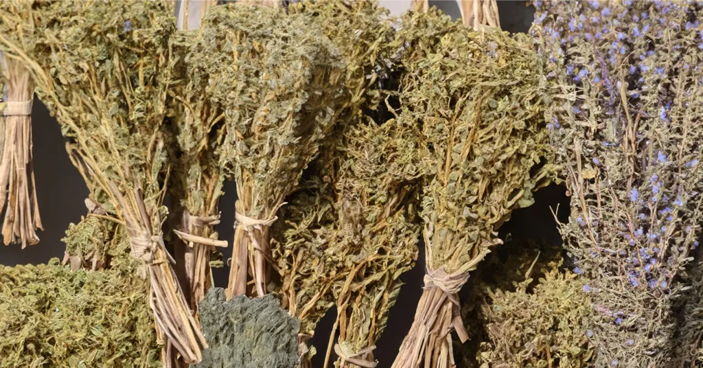 Bundles of air dried herbs.