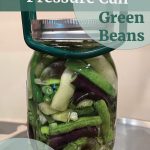 Pinterest Pin for How To Pressure Can Green Beans. Picture of a mason jar of green beans going into the canner.