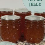 Pinterest Pin for Water Bath Canning Apple Jelly from sowmanyplants.com. Image of five mason jars of apple jelly.
