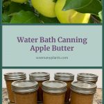 Pinterest Pin for Water Bath Canning Homemade Apple Butter. Images of mason jars of apple butter. Image of mutsu apples on a tree.