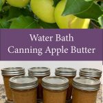 Pinterest Pin for Water Bath Canning Homemade Apple Butter. Images of mason jars of apple butter. Image of mutsu apples on a tree.
