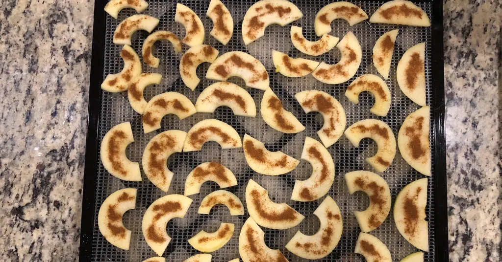 Dehydrating Apple Slices. Apple slices sprinkled with cinnamon sitting on a mesh dehydrator tray.