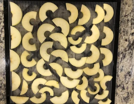 Dehydrating Apple Slices. Apple slices sitting on a mesh dehydrator tray.