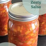 Pinterest Pin for Water Bath Canning Zesty Salsa. Image of three mason jars of homemade water bath canned zesty salsa.