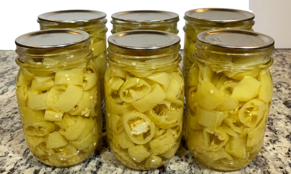 Six Ball mason jars filled with water bath canned pickled banana peppers