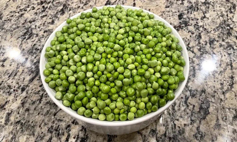 Garden peas sitting in a white bowl on a kitchen counter.