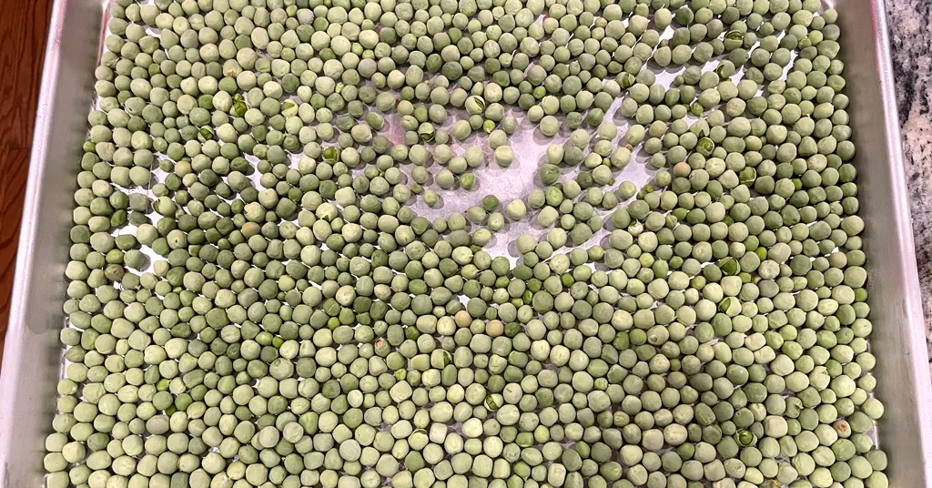 Frozen Garden Peas on a metal baking sheet.