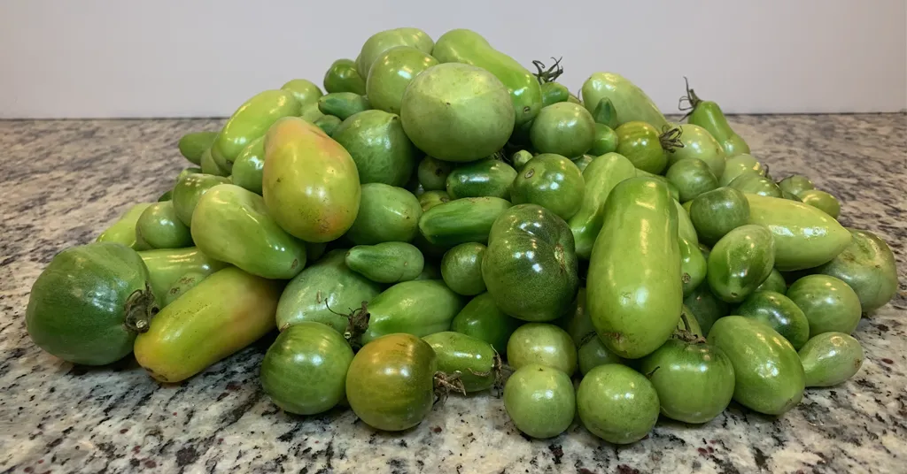 Green tomatoes in a pile on a counter.