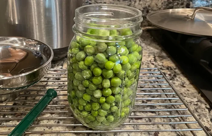 Garden Peas in a Glass mason jar before going into the pressure canner.