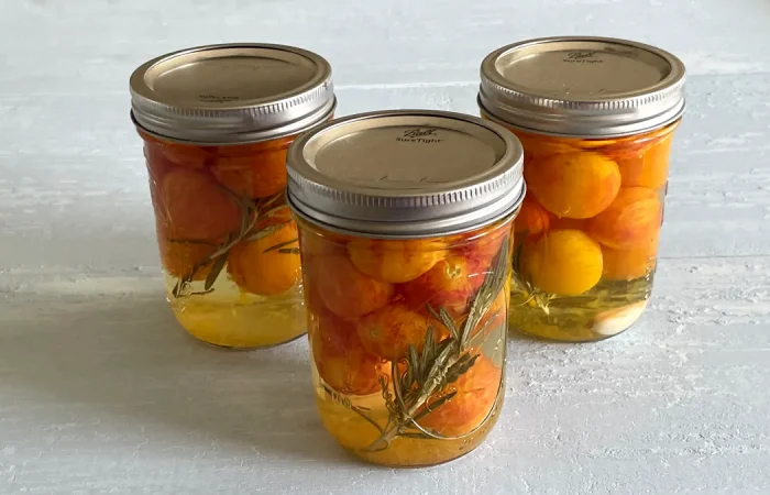Three pint sized mason jars of pickled cherry tomatoes with rosemary and garlic.