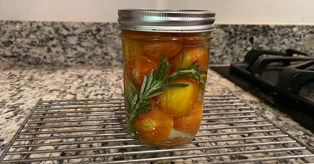 One Pint sized mason jar with cherry tomatoes, rosemary and garlic for pickled cherry tomatoes.