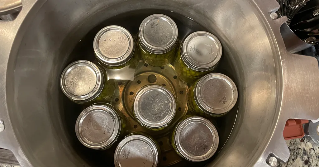 Nine mason jars of pressure canned peas in a pressure canner