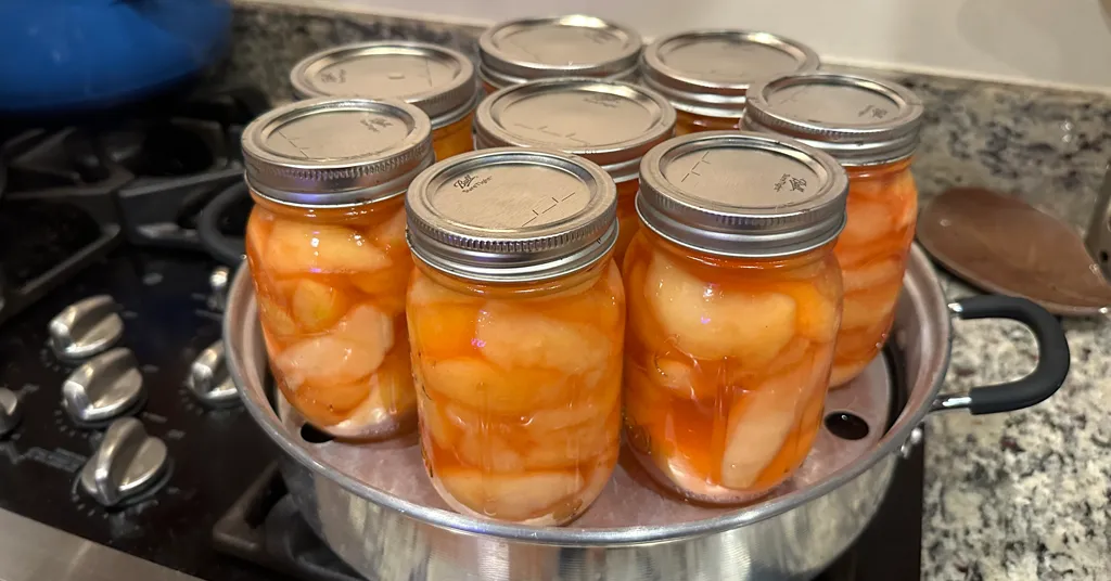 Eight pint sized mason jars of Spiced Apple Wedges in a Steam Canner.