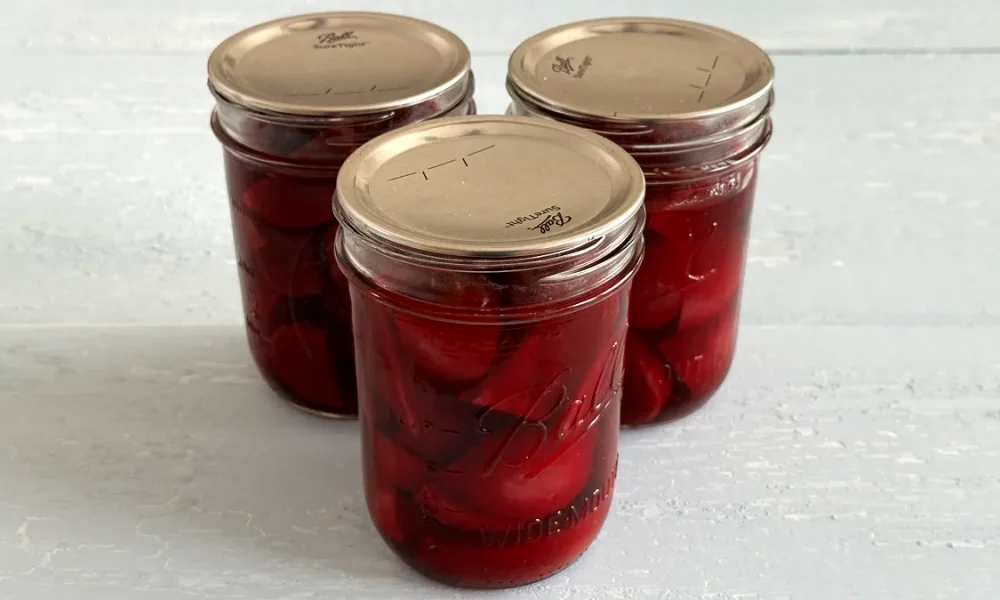 Three mason jars of sliced beets that have been pressure canned for presering.