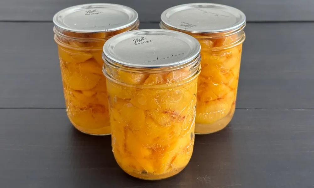 3 pint jars of sliced peaches in a light syrup that have been canned sitting on a table