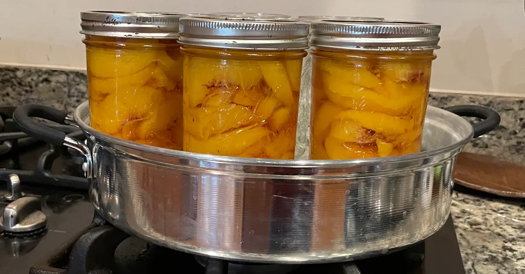 Pint jars of sliced peaches in a light syrup being steam canned.