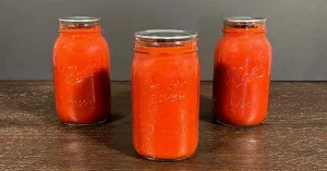 Water Bath Canning Tomato Sauce. Tomato sauce in three 1 quart mason jars