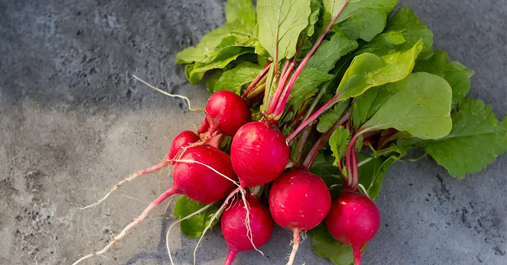 Bunch of radishes grouped together and laying on a gray counter
