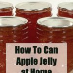 Pinterest Pin for How To Can Apple Jelly at Home. Image of mason jars of apple jelly after being water bath canned.