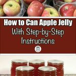 Pinterest Pin for How To Can Apple Jelly with Step-by-Step Instructions. Image of mason jars of apple jelly after being water bath canned. Another Image of Ripe Red and Yellow Apples at a Farmers Market.