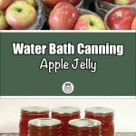 Pinterest Pin for Water Bath Canning Apple Jelly. Image of mason jars of apple jelly after being water bath canned. Another Image of Ripe Red and Yellow Apples at a Farmers Market.