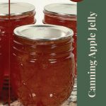 Pinterest Pin for Canning Apple Jelly Tips and Tricks. Image of mason jars of apple jelly after being water bath canned.