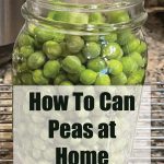 Pinterest Pin for How to Can Peas at Home Using a Pressure Canner. Image of a mason jar full of green peas before they are pressure canned.