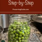 Pinterest Pin for How to Can Peas Step-by-Step Using a Pressure Canner. Image of a mason jar full of green peas before they are pressure canned.