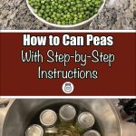 Pinterest Pin for How to Can Peas with Step-by-Step Instructions. Image of a bowl of green peas before they are pressure canned. Image of mason jars in a pressure canner.