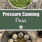 Pinterest Pin for Pressure Canning Peas. Image of a bowl of green peas before they are pressure canned. Image of mason jars in a pressure canner.