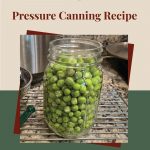 Pinterest Pin for Preserving Peas Pressure Canning Recipe. Image of a mason jar full of green peas before they are pressure canned.