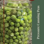 Pinterest Pin for Pressure Canning Peas Tips and Tricks. Image of a mason jar full of green peas before they are pressure canned.