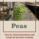 Pinterest Pin for Pressure Canning Peas. Step-by-step instructions and recipe for pressure canning peas. Image of a mason jar full of green peas before they are pressure canned.