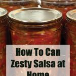 Pinterest Pin for How to Can Zesty Salsa at Home. Mason jars of zesty salsa that have been water bath canned.