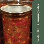 Pinterest Pin for Water Bath Canning Salsa Tips and Tricks. Mason jars of zesty salsa that have been water bath canned sitting on a counter.