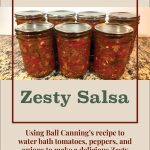 Pinterest Pin for Water Bath Canning Zesty Salsa Recipe. Mason jars of zesty salsa that have been water bath canned sitting on a counter.