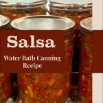 Pinterest Pin for Salsa Water Bath Canning Recipe. Mason jars of zesty salsa that have been water bath canned sitting on a counter.