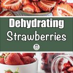 Pinterest Pin for Dehydrating Strawberries. Image of a dehydrated strawberries spilling out of a glass jar with other jars of dried strawberries in the background. Another image of a bowl of dehydrated strawberries.