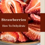 Pinterest Pin for Strawberries: How To Dehydrate. Image of a dehydrated strawberries in a bowl.