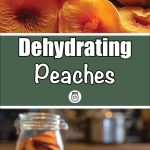 Pinterest Pin for Dehydrating Peaches. Image of slices of dehydrated peaches on a cutting board with a jar of dehydrated peaches in the background. Image of dehydrated peaches.