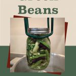 Pinterest Pin for How To Can Green Beans. Image of a mason jar of green beans before being pressure canned.