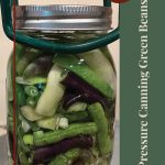 Pinterest Pin for Pressure Canning Green Beans Tips and Tricks. Image of a mason jar of green beans before being pressure canned.