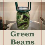 Pinterest Pin for Pressure Canning Green Beans. Image of a mason jar of green beans before being pressure canned.