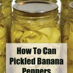 Pinterest Pin for How To Can Pickled Banana Peppers. Image of mason jars of pickled banana peppers after being water bath canned.